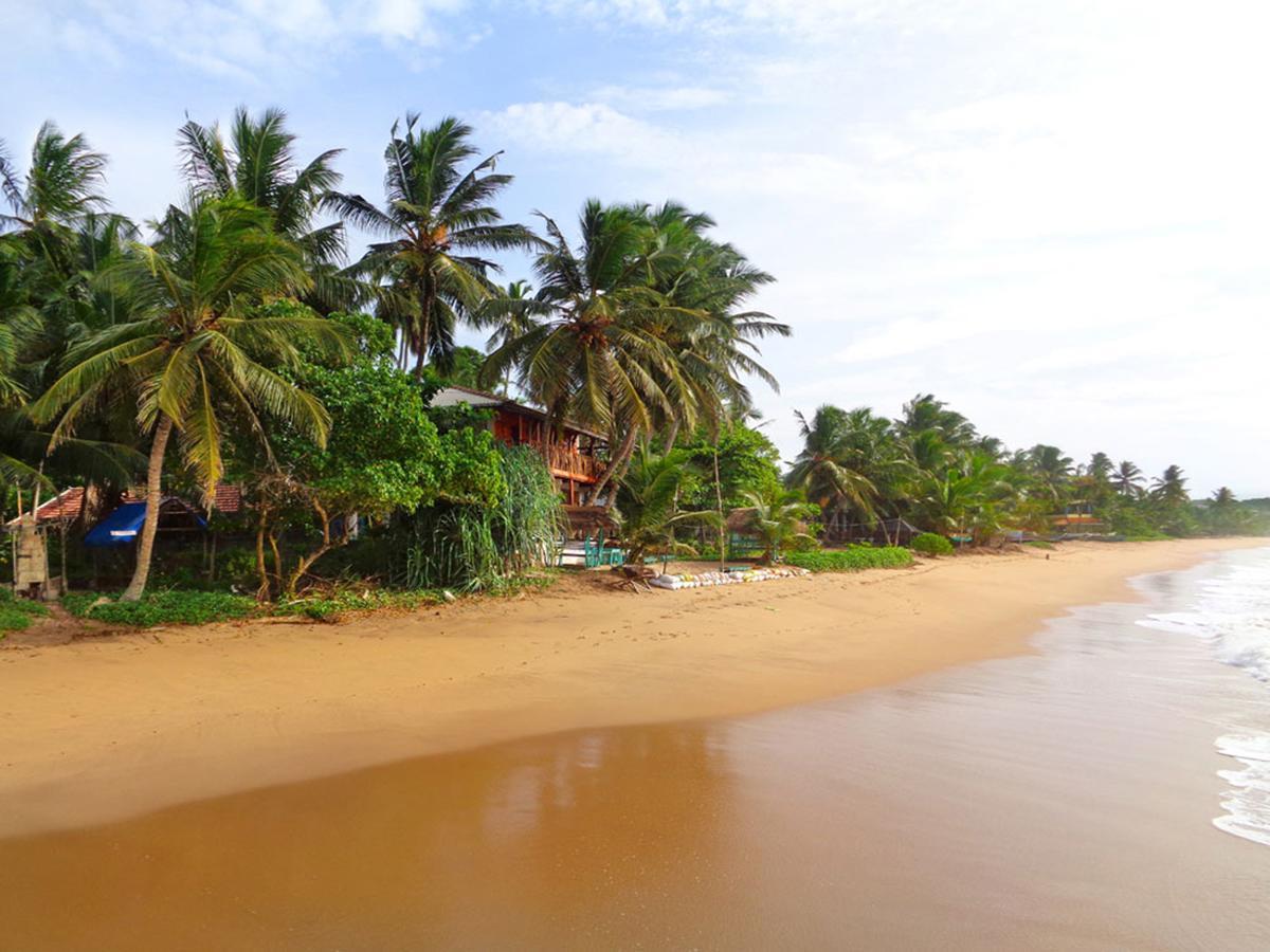 Reggae Zone Beach Resort تانجالي المظهر الخارجي الصورة