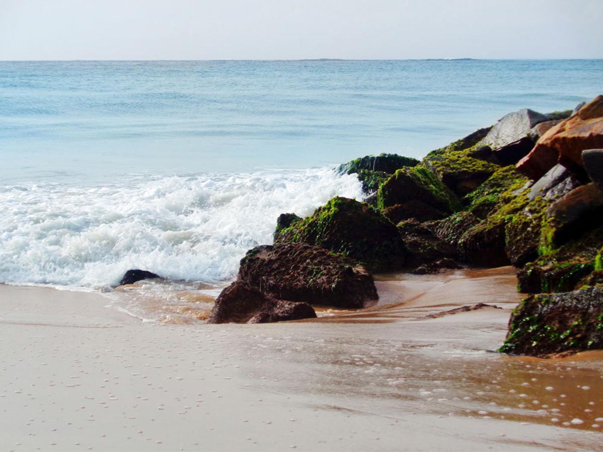 Reggae Zone Beach Resort تانجالي المظهر الخارجي الصورة